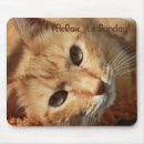 Search for cat quotes mouse mats Pets