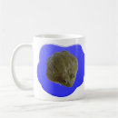 Search for bullfrog mugs Frogs