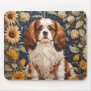 Search for king charles spaniel electronics Cavie