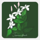 Search for jasmine stickers Botanical