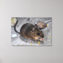 Search for little brown art Nature