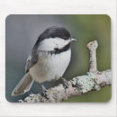 Search for chickadee mouse mats Nature