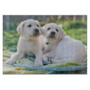 Search for labrador chopping boards Puppy