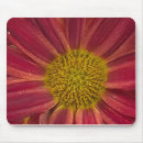 Search for chrysanthemums mouse mats Garden