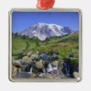 Search for mt rainier christmas tree decorations Public land