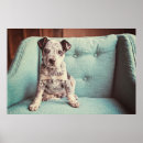 Search for dog on chair art Puppy