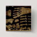 Search for anatomically badges Aquapendente