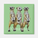 Search for digger magnets Cute
