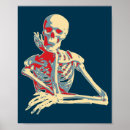 Search for skeleton anatomy posters Skull