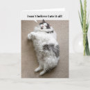 Search for cat thanksgiving cards Humour