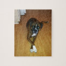 Search for boxer dog puzzles Pets