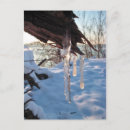 Search for icicle postcards White