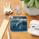 Search for humpback whale key rings Sea
