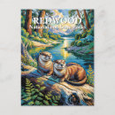 Search for redwood national park postcards Us national parks