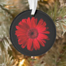 Search for gerbera daisy christmas tree decorations Bouquet