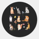 Search for political cat stickers Democrat
