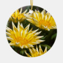 Search for blooming flower christmas tree decorations nature