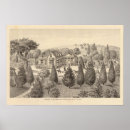 Search for alameda posters Lithographed