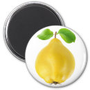 Search for fruits magnets yellow