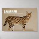 Search for savannah art Pet