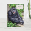 Search for chimpanzee cards Friendship