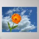 Search for glorious posters Orange