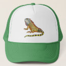 Search for green lizard hats Pet