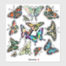 Search for lepidoptera stickers Butterflies