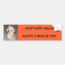 Search for pup bumper stickers Rescue