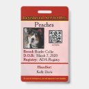 Search for service dog Red