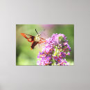 Search for purple butterfly canvas prints Nature