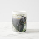 Search for retirement drinkware Greyhound