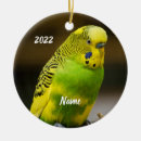 Search for budgie christmas tree decorations Animal