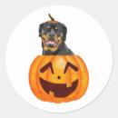 Search for funny dog treats stickers Cute