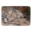 Search for wolf face photography Wolves