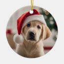 Search for labrador retriever christmas tree decorations Fun