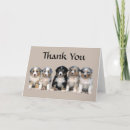 Search for australian shepherd thank you cards Aussie