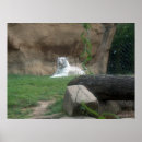 Search for basking posters Animal
