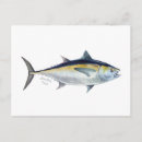 Search for tuna postcards Fishing