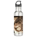 Search for serene water bottles Spiritual