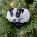 Search for new puppy christmas tree decorations Modern