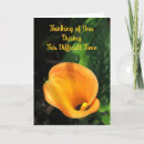 Search for thinking of you sympathy cards Floral