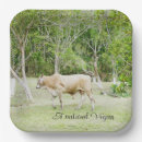 Search for cow plates Funny