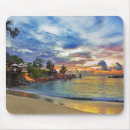Search for lagoon mouse mats Indian ocean
