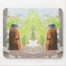 Search for marmots mouse mats Groundhog