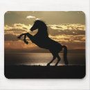 Search for equine electronics Stallion