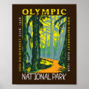 Search for rainforest posters Olympic national park