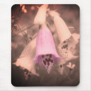Search for antique mouse photography For her