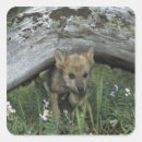 Search for timber stickers Outdoors