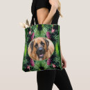 Search for pine cone accessories Animal